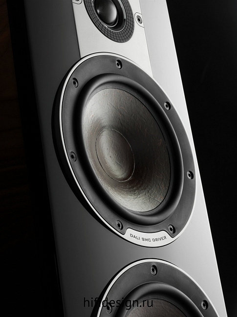 ��������� �������� dali epicon 6 black